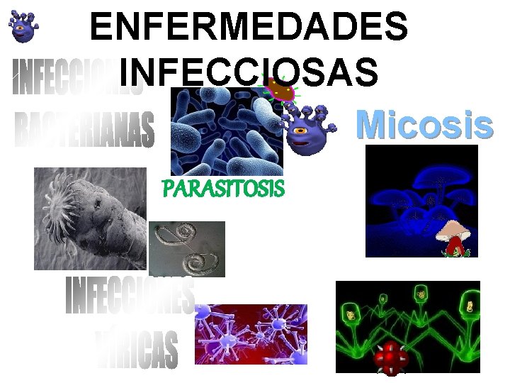 ENFERMEDADES INFECCIOSAS Micosis PARASITOSIS 