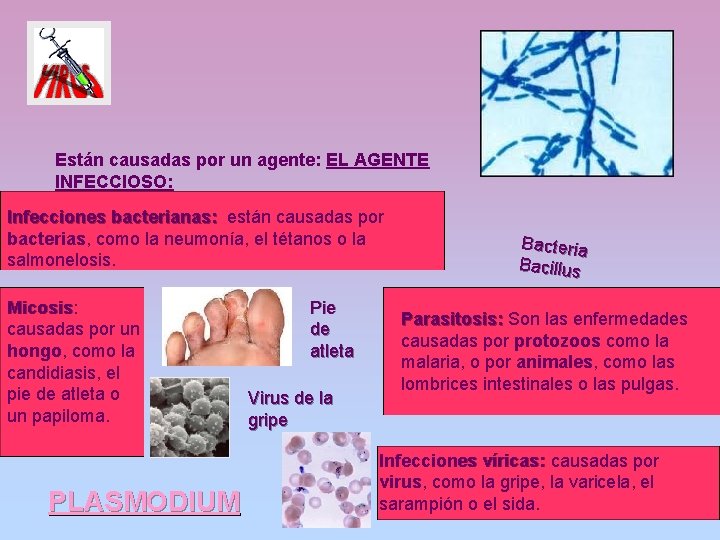 Están causadas por un agente: EL AGENTE INFECCIOSO: Infecciones bacterianas: están causadas por bacterias,