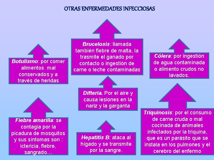 OTRAS ENFERMEDADES INFECCIOSAS Botulismo: por comer alimentos mal conservados y a través de heridas
