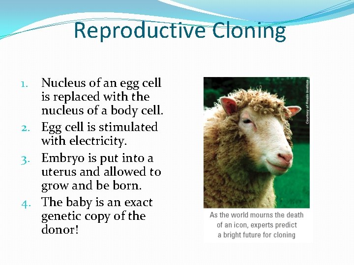 Reproductive Cloning Nucleus of an egg cell is replaced with the nucleus of a
