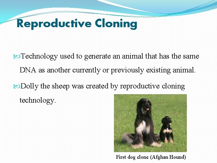 Reproductive Cloning Technology used to generate an animal that has the same DNA as