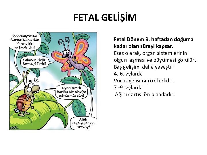 FETAL GELİŞİM Fetal Dönem 9. haftadan doğuma kadar olan süreyi kapsar. Esas olarak, organ