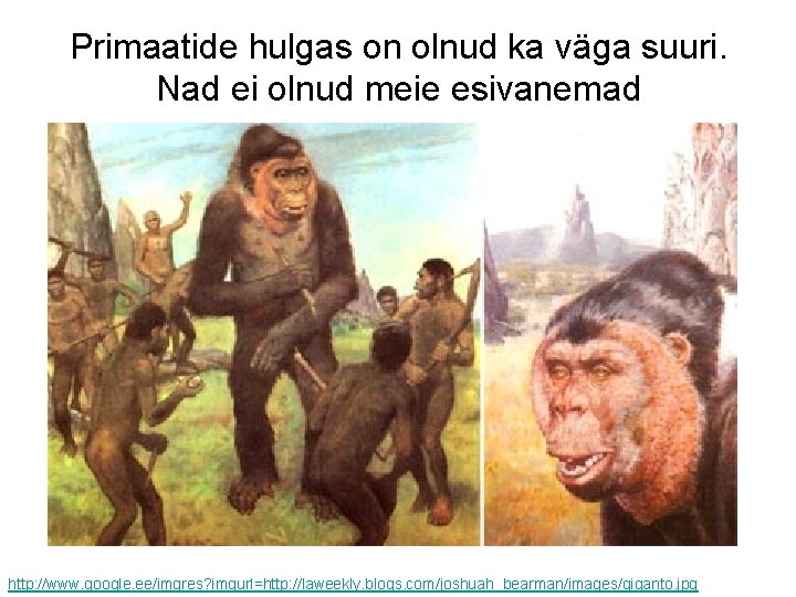 Primaatide hulgas on olnud ka väga suuri. Nad ei olnud meie esivanemad http: //www.