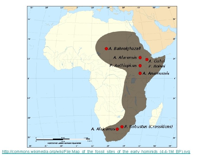 http: //commons. wikimedia. org/wiki/File: Map_of_the_fossil_sites_of_the_early_hominids_(4. 4 -1 M_BP). svg 
