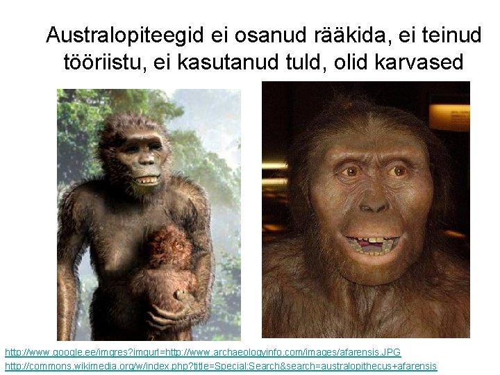 Australopiteegid ei osanud rääkida, ei teinud tööriistu, ei kasutanud tuld, olid karvased http: //www.