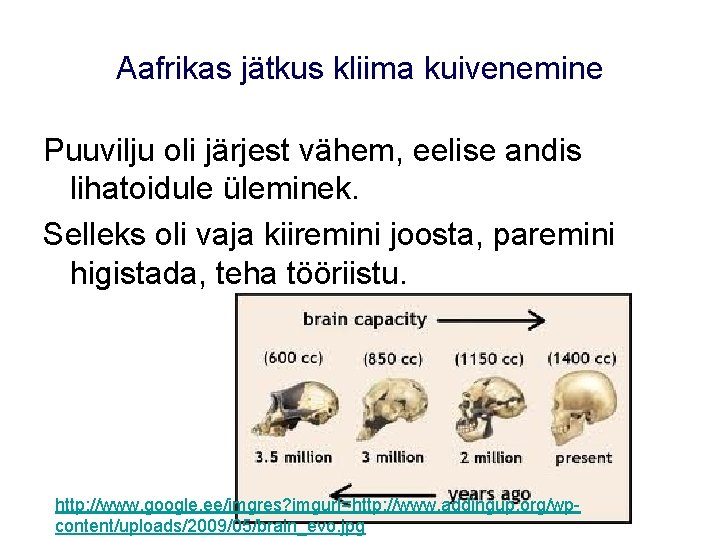 Aafrikas jätkus kliima kuivenemine Puuvilju oli järjest vähem, eelise andis lihatoidule üleminek. Selleks oli