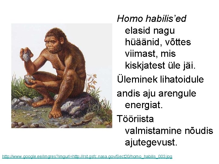 Homo habilis’ed elasid nagu hüäänid, võttes viimast, mis kiskjatest üle jäi. Üleminek lihatoidule andis