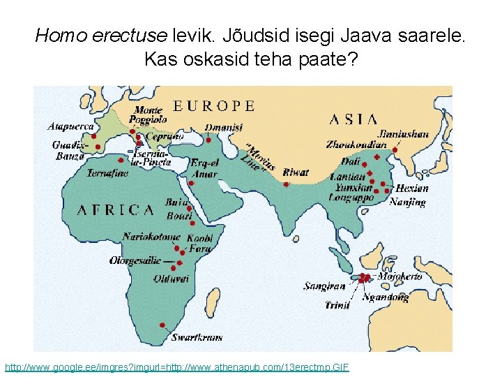 Homo erectuse levik. Jõudsid isegi Jaava saarele. Kas oskasid teha paate? http: //www. google.