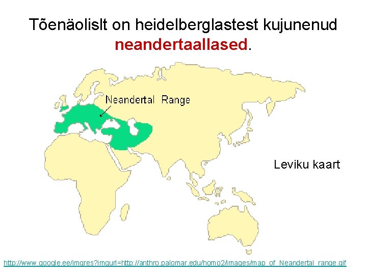 Tõenäolislt on heidelberglastest kujunenud neandertaallased. Leviku kaart http: //www. google. ee/imgres? imgurl=http: //anthro. palomar.