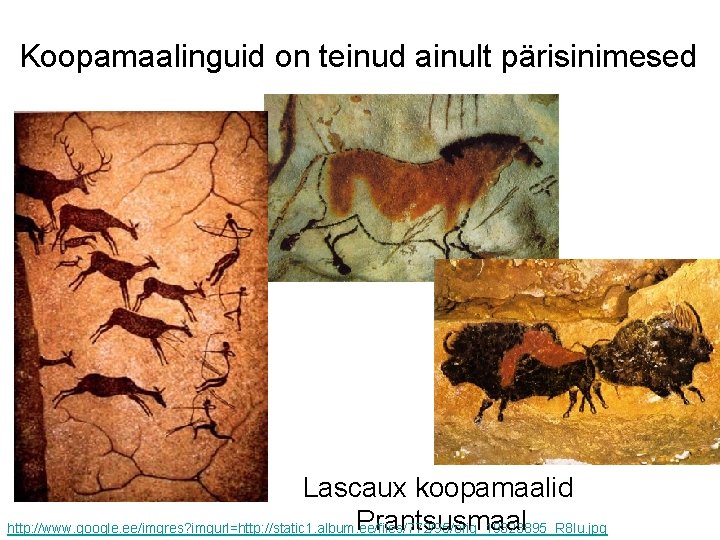 Koopamaalinguid on teinud ainult pärisinimesed Lascaux koopamaalid Prantsusmaal http: //www. google. ee/imgres? imgurl=http: //static