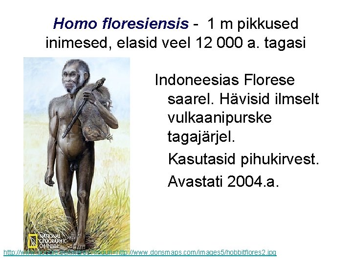 Homo floresiensis - 1 m pikkused inimesed, elasid veel 12 000 a. tagasi Indoneesias