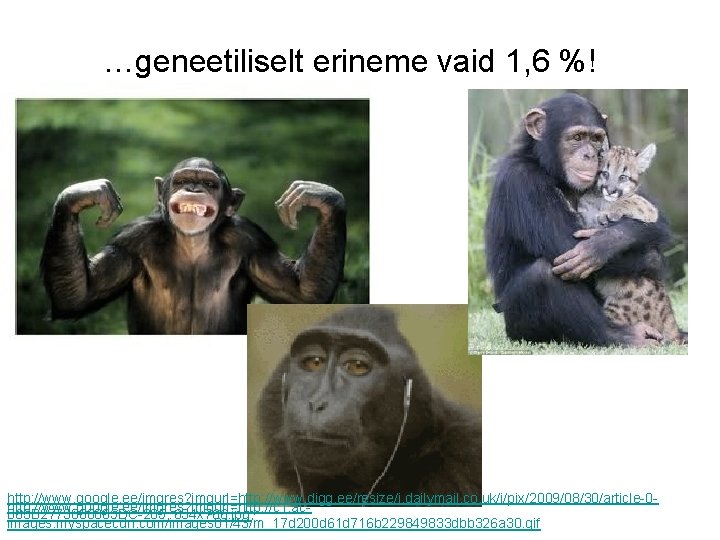 …geneetiliselt erineme vaid 1, 6 %! http: //www. google. ee/imgres? imgurl=http: //www. digg. ee/resize/i.