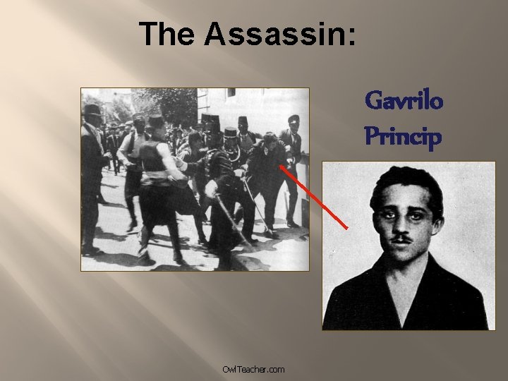 The Assassin: Gavrilo Princip Owl. Teacher. com 