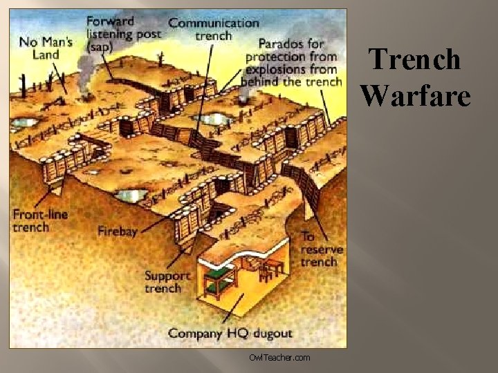 Trench Warfare Owl. Teacher. com 