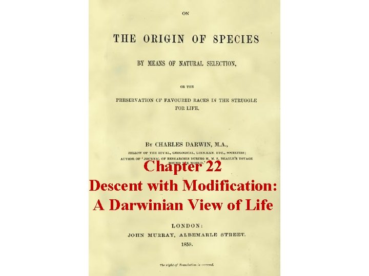 Chapter 22 Descent with Modification: A Darwinian View of Life 