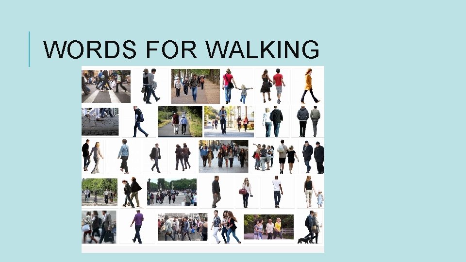 WORDS FOR WALKING 