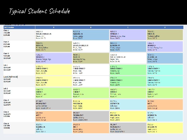 Typical Student Schedule 