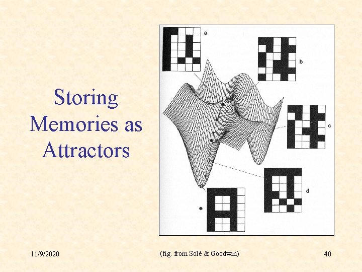 Storing Memories as Attractors 11/9/2020 (fig. from Solé & Goodwin) 40 