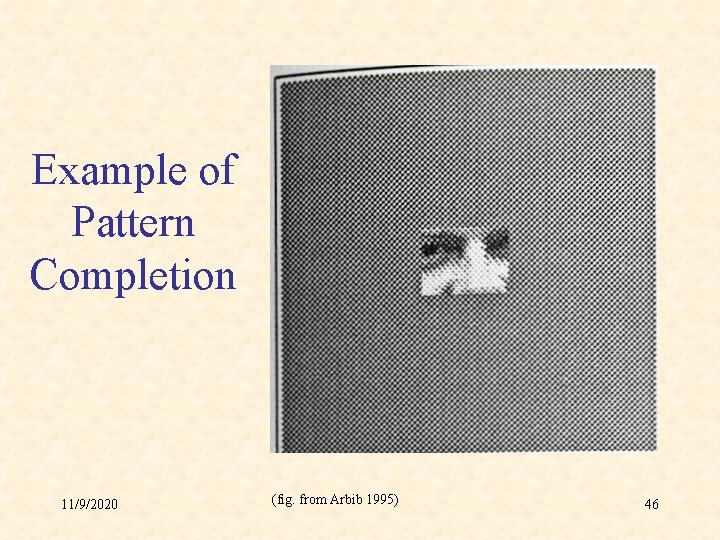 Example of Pattern Completion 11/9/2020 (fig. from Arbib 1995) 46 