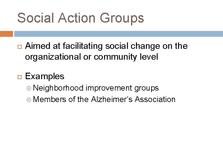 Social Action Groups Aimed at facilitating social change on the organizational or community level