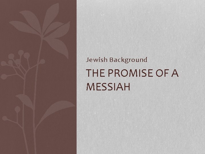 Jewish Background THE PROMISE OF A MESSIAH 