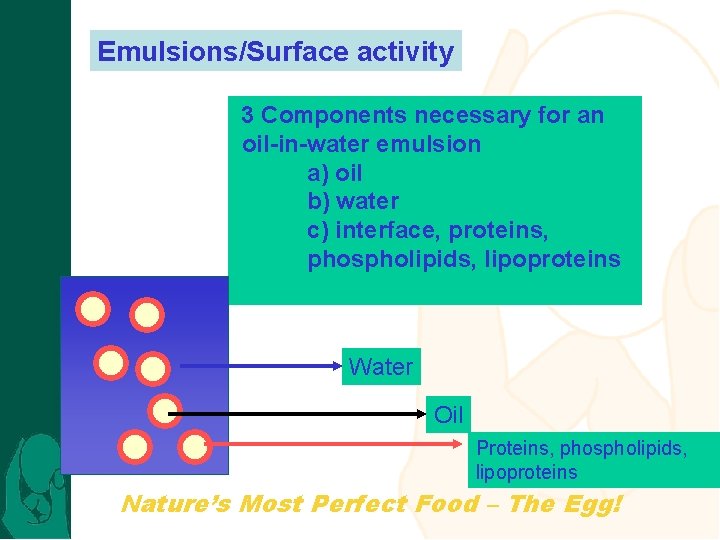 Emulsions/Surface activity 3 Components necessary for an oil-in-water emulsion a) oil b) water c)