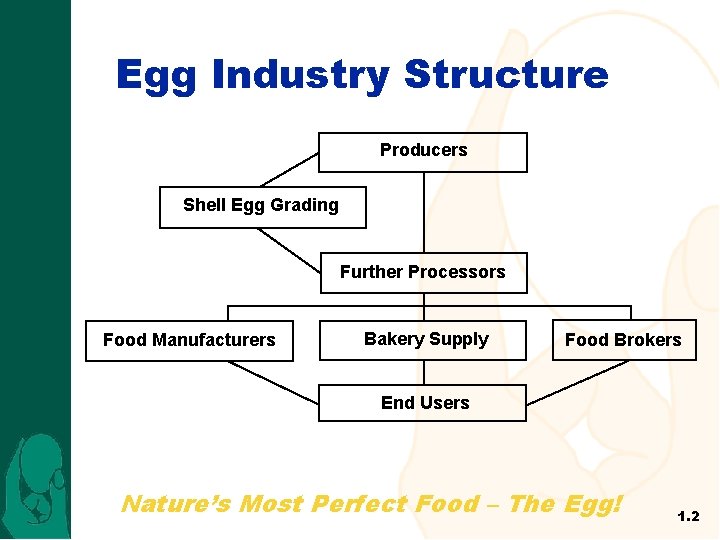 Egg Industry Structure Producers Shell Egg Grading Further Processors Food Manufacturers Bakery Supply Food
