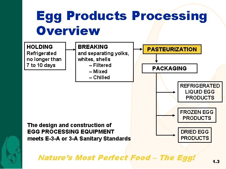 Egg Products Processing Overview HOLDING BREAKING Refrigerated no longer than 7 to 10 days