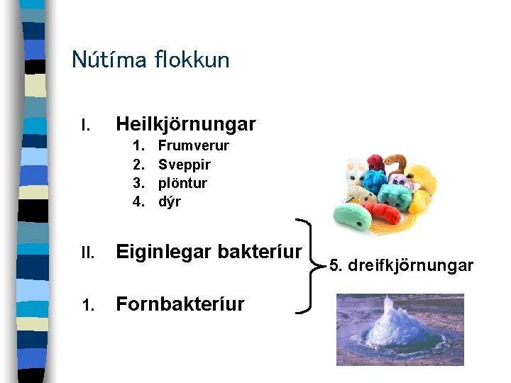 Nútíma flokkun I. Heilkjörnungar 1. 2. 3. 4. Frumverur Sveppir plöntur dýr II. Eiginlegar