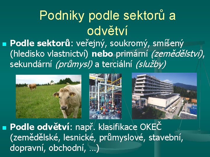 Podniky podle sektorů a odvětví n n Podle sektorů: veřejný, soukromý, smíšený (hledisko vlastnictví)