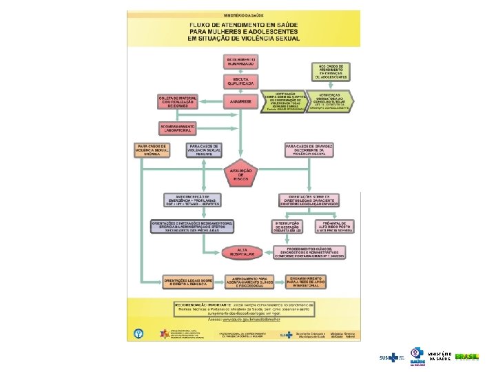 MINISTÉRIO DA SAÚDE 