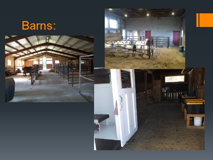 Barns: 