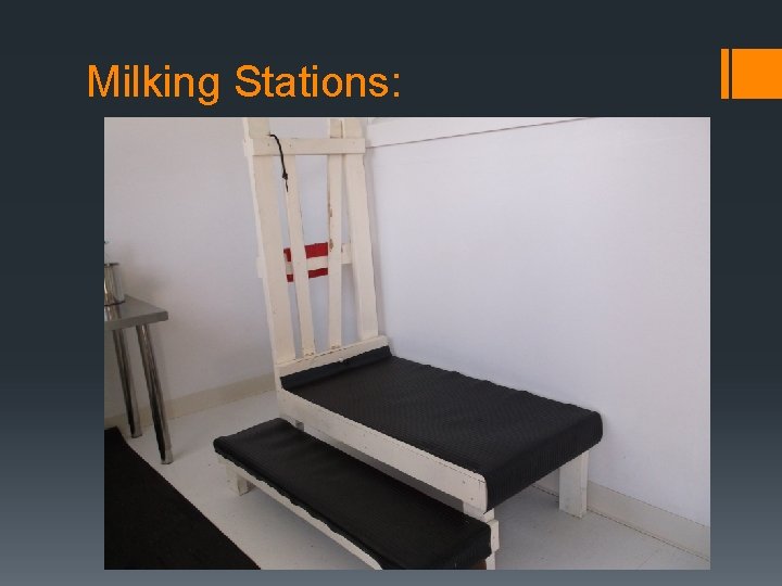 Milking Stations: 