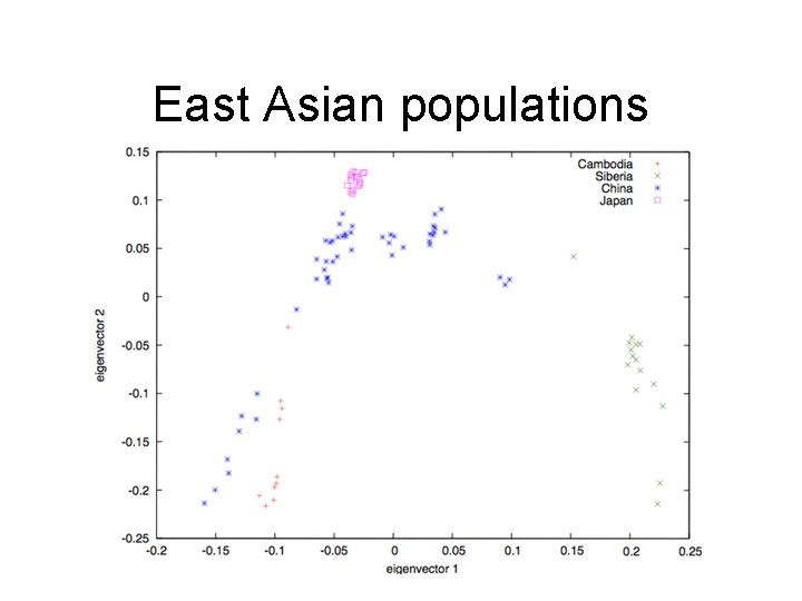 East Asian populations 