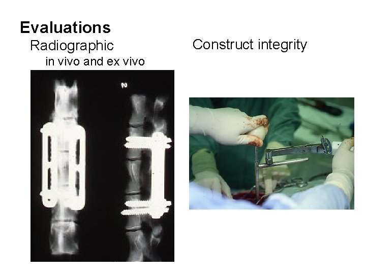 Evaluations Radiographic in vivo and ex vivo Construct integrity 