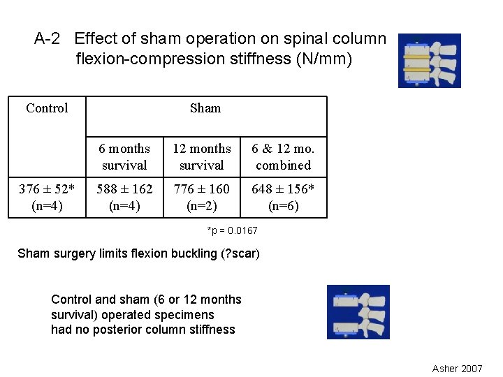 A-2 Effect of sham operation on spinal column flexion-compression stiffness (N/mm) Control 376 ±