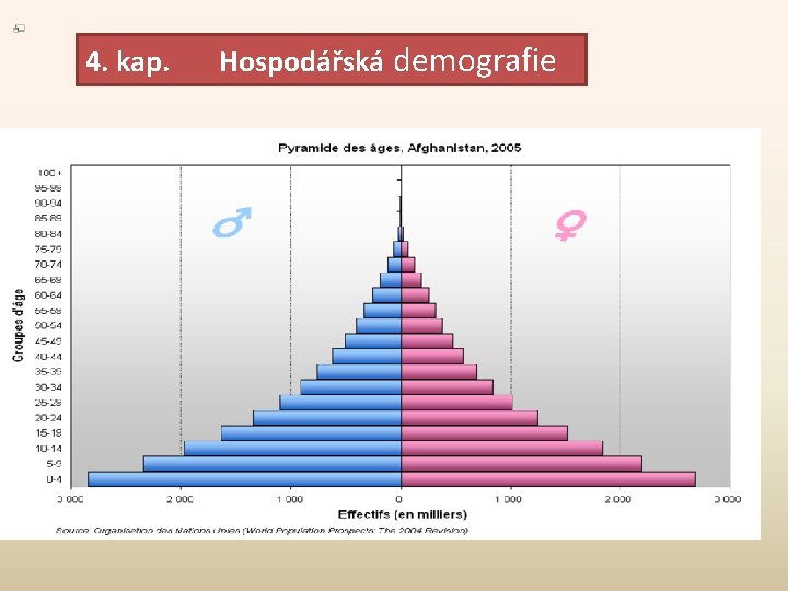 4. kap. Hospodářská demografie Věková pyramida, jeden ze základních způsobů znázornění struktury populace, používaných