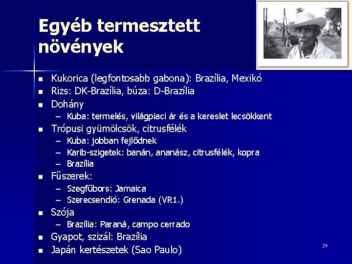 Egyéb termesztett növények n n n Kukorica (legfontosabb gabona): Brazília, Mexikó Rizs: DK-Brazília, búza: