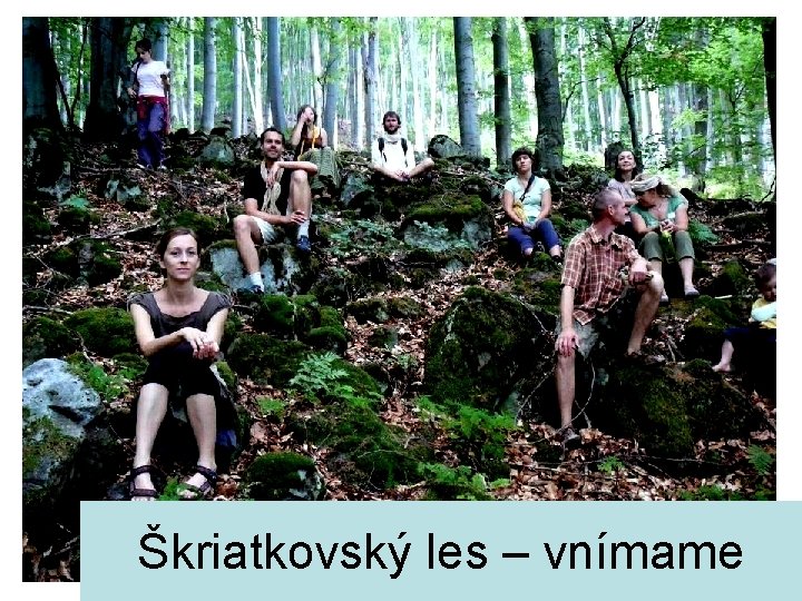 Škriatkovský les – vnímame 