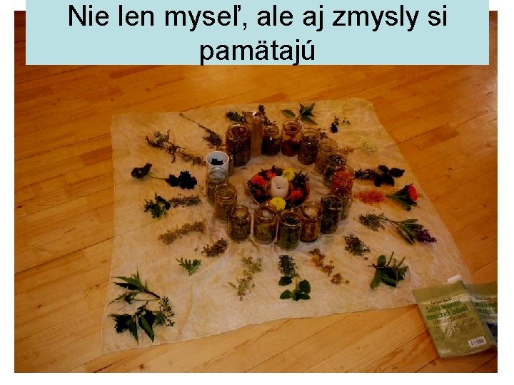 Nie len myseľ, ale aj zmysly si pamätajú 