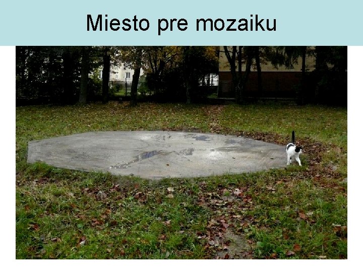 Miesto pre mozaiku 