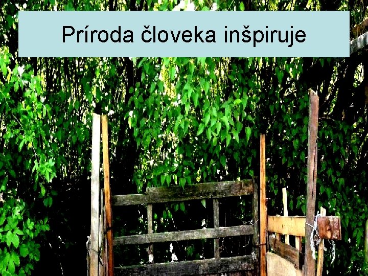 Príroda človeka inšpiruje 