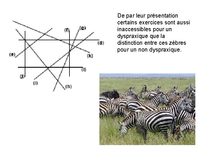 De par leur présentation certains exercices sont aussi inaccessibles pour un dyspraxique la distinction
