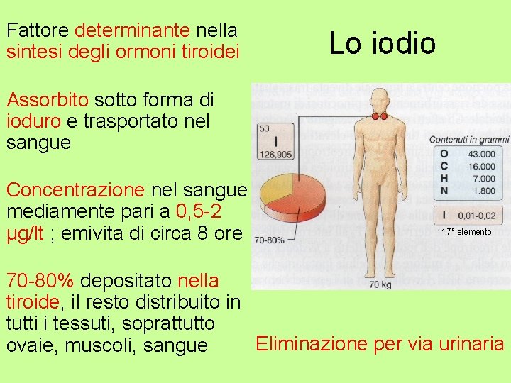 Fattore determinante nella sintesi degli ormoni tiroidei Lo iodio Assorbito sotto forma di ioduro