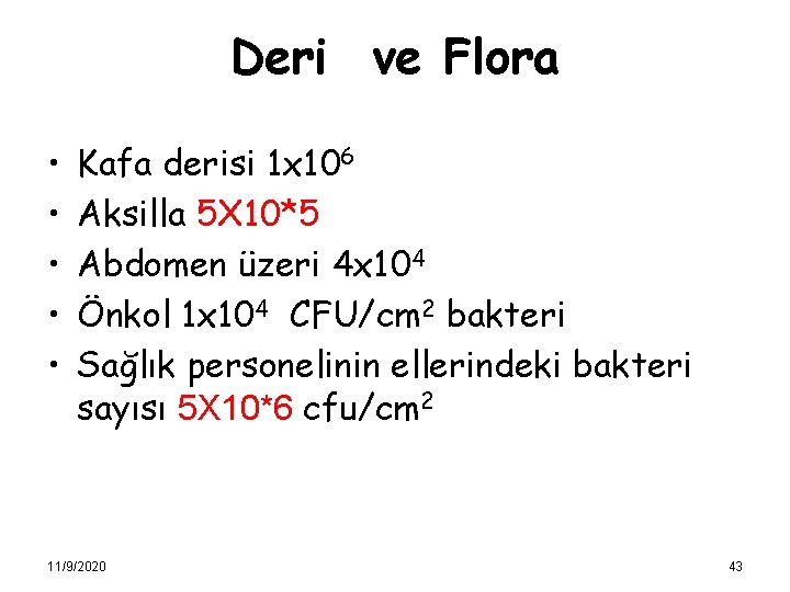 Deri ve Flora • • • Kafa derisi 1 x 106 Aksilla 5 X