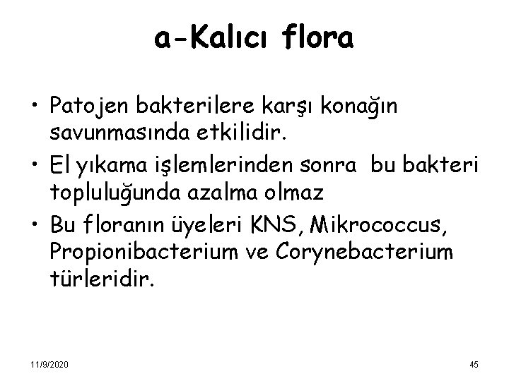 a-Kalıcı flora • Patojen bakterilere karşı konağın savunmasında etkilidir. • El yıkama işlemlerinden sonra