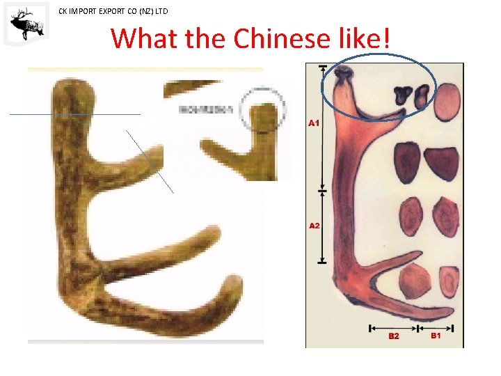 CK IMPORT EXPORT CO (NZ) LTD What the Chinese like! 