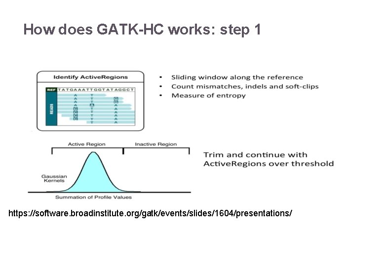 How does GATK-HC works: step 1 https: //software. broadinstitute. org/gatk/events/slides/1604/presentations/ 22/11/2016 Variant Calling –