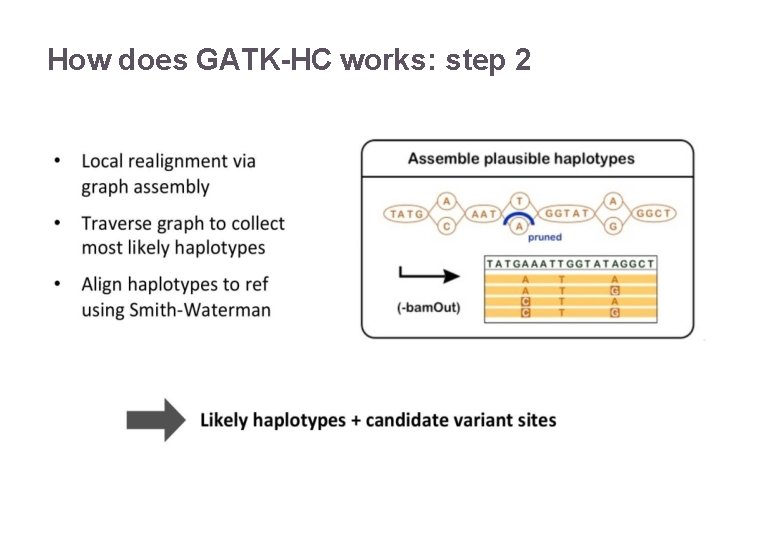 How does GATK-HC works: step 2 22/11/2016 Variant Calling – Yannick Boursin 18 