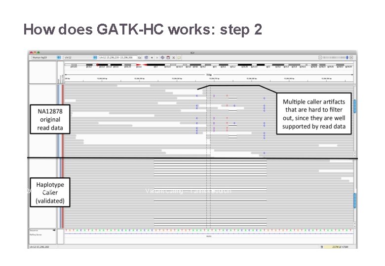 How does GATK-HC works: step 2 22/11/2016 Variant Calling – Yannick Boursin 19 